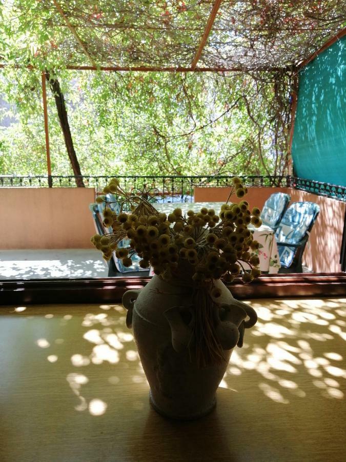 Kornić Apartments Luce מראה חיצוני תמונה